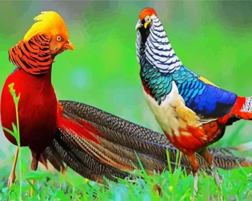 Pheasants Paint By Number