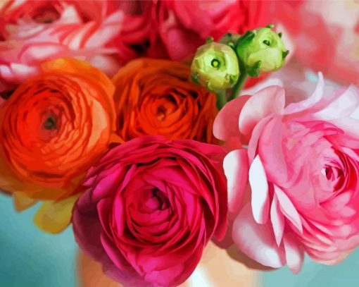 Pink And Orange Ranunculus Paint By Number