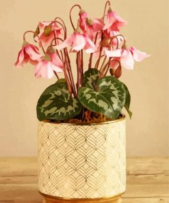 Pink Cyclamen Vase paint by numbers