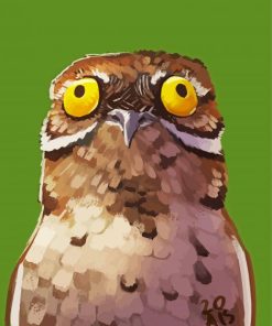 Potoo Illustration paint by numbers