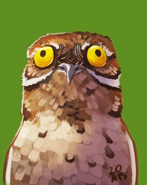 Potoo Illustration paint by numbers