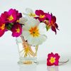 Primrose Flowers In Glass Paint By Number