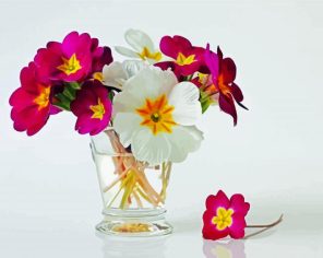 Primrose Flowers In Glass Paint By Number