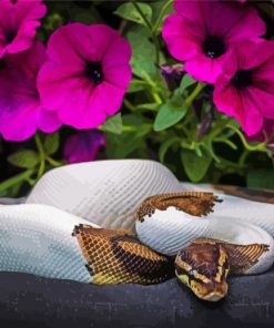 Python Snake and Petunia Flowers paint by numbers