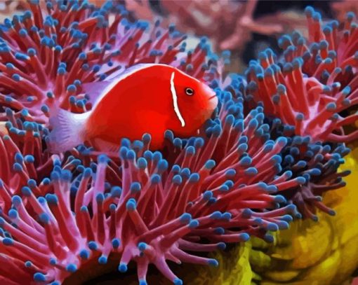Red Fish Between Anemones Paint By Number