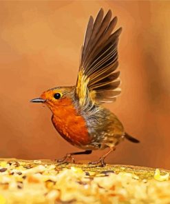 Robin paint by numbers
