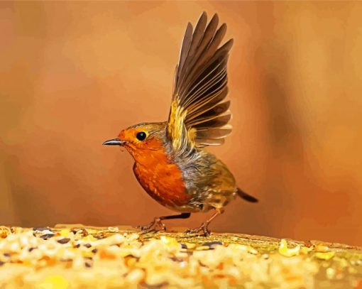 Robin paint by numbers