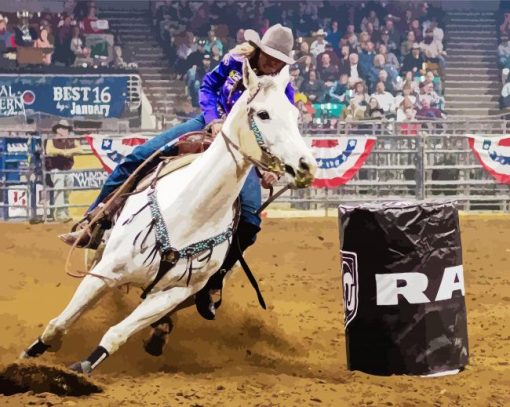 Rodeo Art Paint By Number