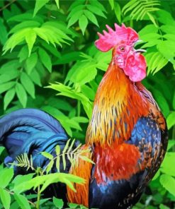 Rooster Bird Animal paint by numbers