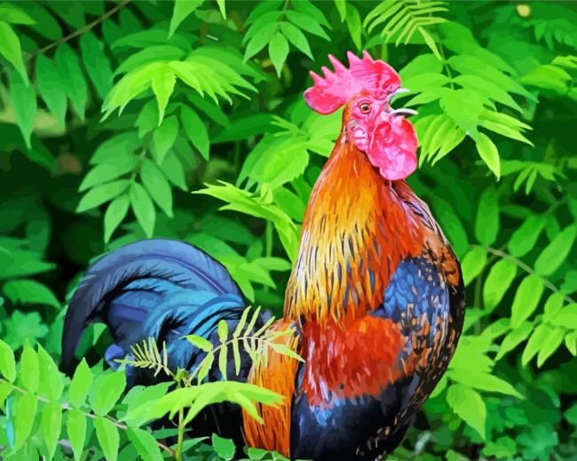 Rooster Bird Animal paint by numbers