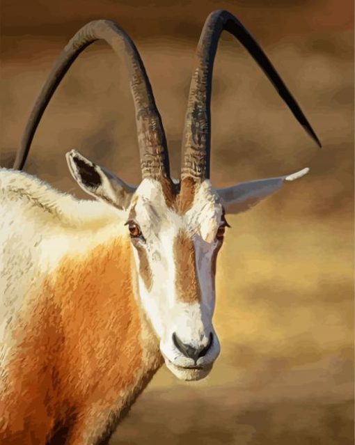 Saharian Oryx paint by numbers