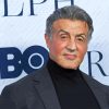 The Actor Sylvester Stallone paint by numbers