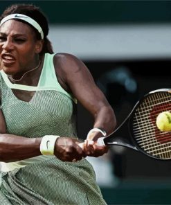 The Tennis Player Serena Williams paint by numbers