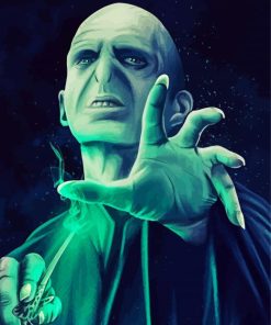The Villain Voldemort Illustration Paint By Number