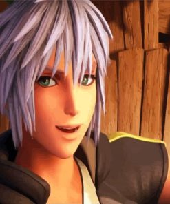 Video Game Riku Character paint by numbers