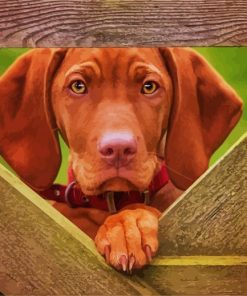 Vizsla Dog paint by numbers