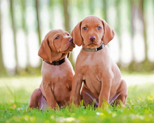 Vizsla Puppies Dogs paint by numbers