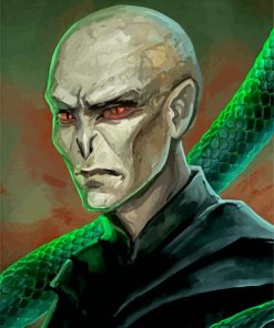 Voldemort Illustration Paint By Number