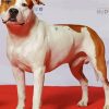 White American Staffordshire Paint By Number