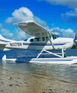 White Seaplane paint by numbers