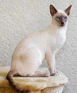 White Siamese paint by numbers