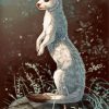 White Stoat Illustration Paint By Number