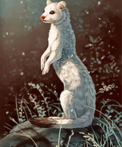 White Stoat Illustration Paint By Number