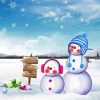 Winter Snowman paint by numbers