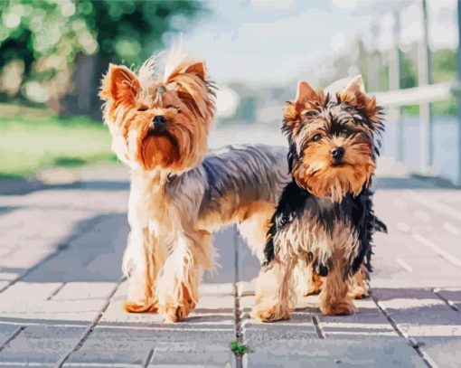 Yorkie And Yorkshire Terrier Paint By Number