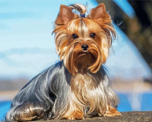 Yorkie Puppy paint by numbers