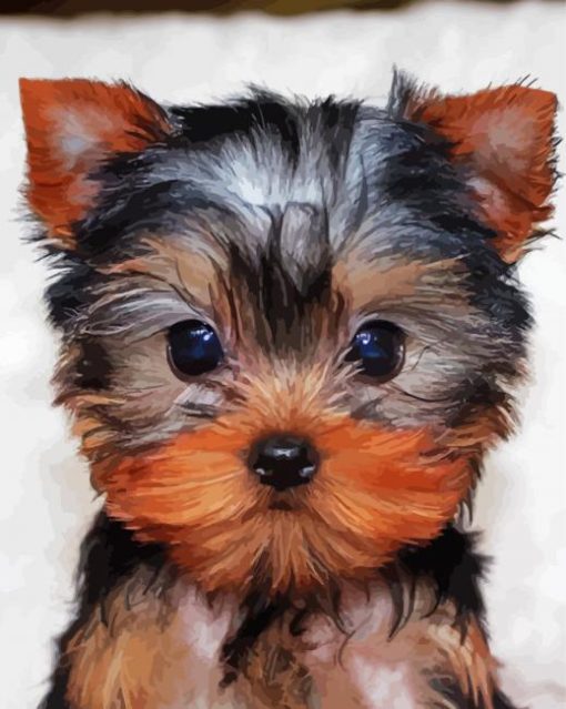 Yorkie Tea Cup Paint By Number