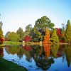 Autumn Sheffield Park and Garden paint by numbers