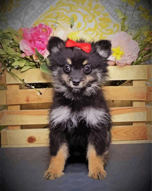 Black Maltipom Puppy paint by numbers