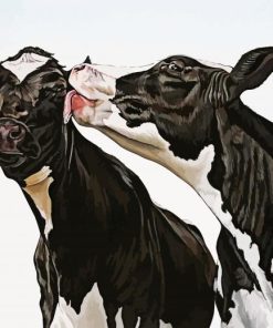 Black and White Cows paint by numbers