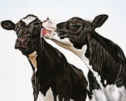 Black and White Cows paint by numbers