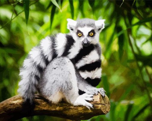 Black and White Tail Lemur paint by numbers