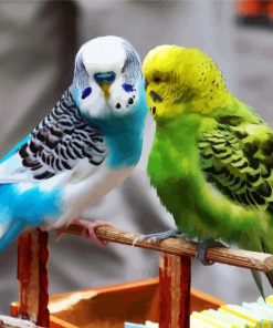 Blue and Yellow Parakeet Budgerigars paint by numbers