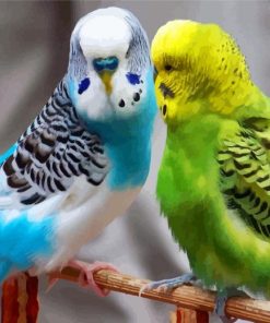 Blue and Green Parakeets paint by numbers