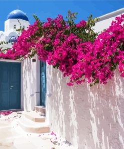 Bougainvillea Greece paint by numbers