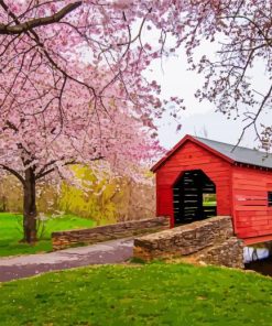 Cherry Blossom Carroll Creek Covered Bridge paint by numbers