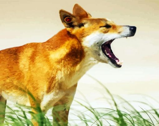 Dingo Australian Dog paint by numbers