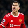 Diogo Dalot Man United paint by numbers