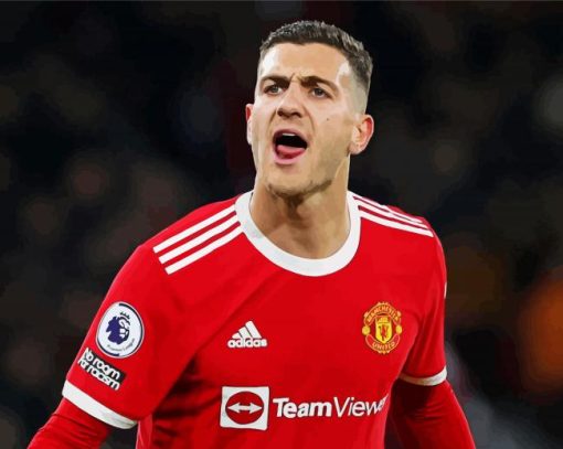 Diogo Dalot Man United paint by numbers