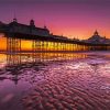 Eastbourne Pier Sunset paint by numbers