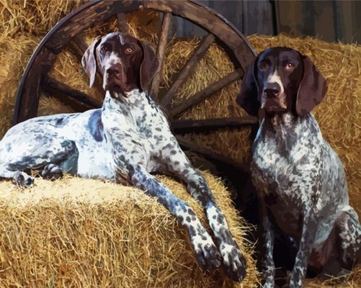 English Coonhound Dogs paint by numbers