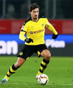 Football Player Mats Hummels paint by numbers