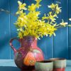 Forsythia Pottery Vase paint by numbers