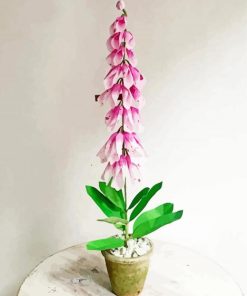 Foxglove Plant Pot paint by numbers