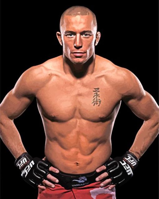Georges St Pierre paint by numbers