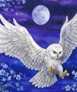 Harry Potter Hedwig Owl paint by numbers